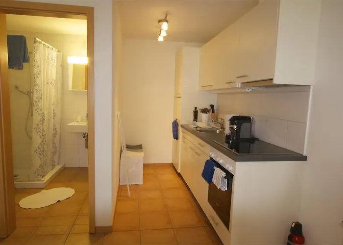 Apartman Mack Brienzwiler